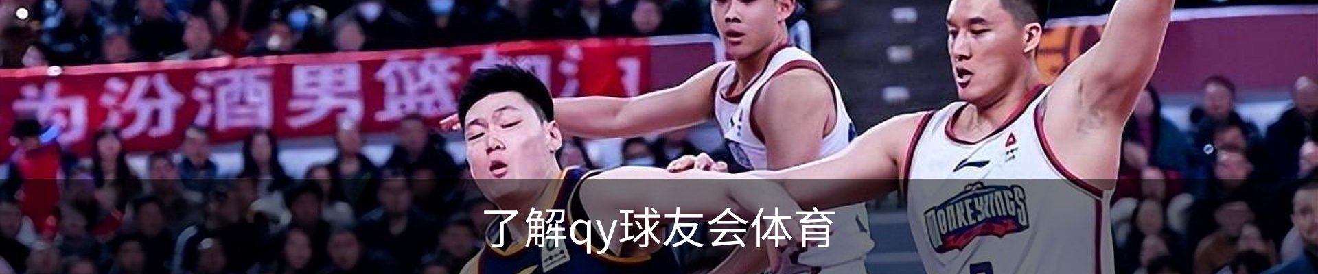 了解qy球友会体育